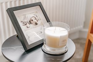 Example Interior Design- click for photo gallery